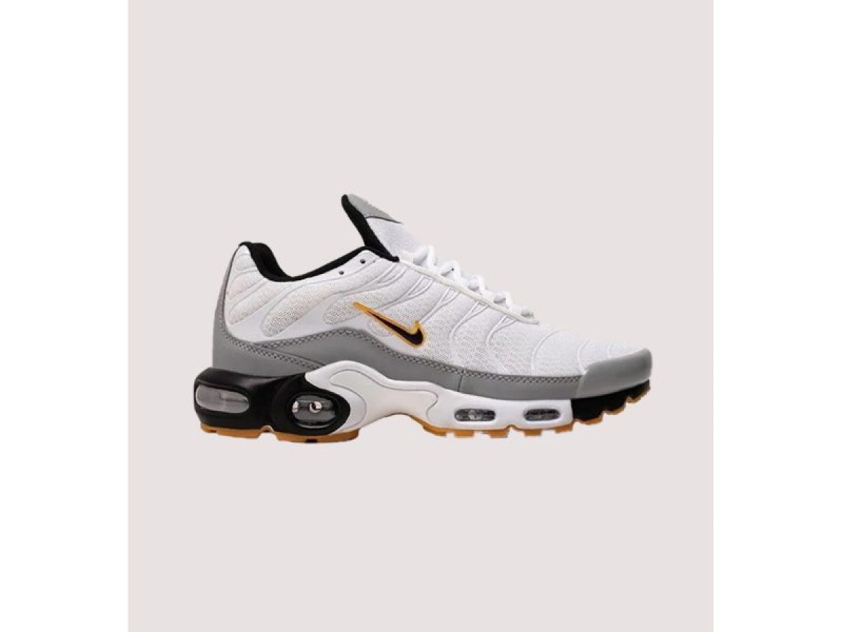 Nike tn shoes price online